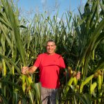 Selon Luc Bellefroid, les traits d’hybrides contre la sécheresse ne peuvent supplanter le semis direct pour préserver l’humidité et les réserves d’eau du sol.