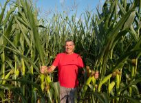 Selon Luc Bellefroid, les traits d’hybrides contre la sécheresse ne peuvent supplanter le semis direct pour préserver l’humidité et les réserves d’eau du sol. 