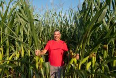 Selon Luc Bellefroid, les traits d’hybrides contre la sécheresse ne peuvent supplanter le semis direct pour préserver l’humidité et les réserves d’eau du sol.