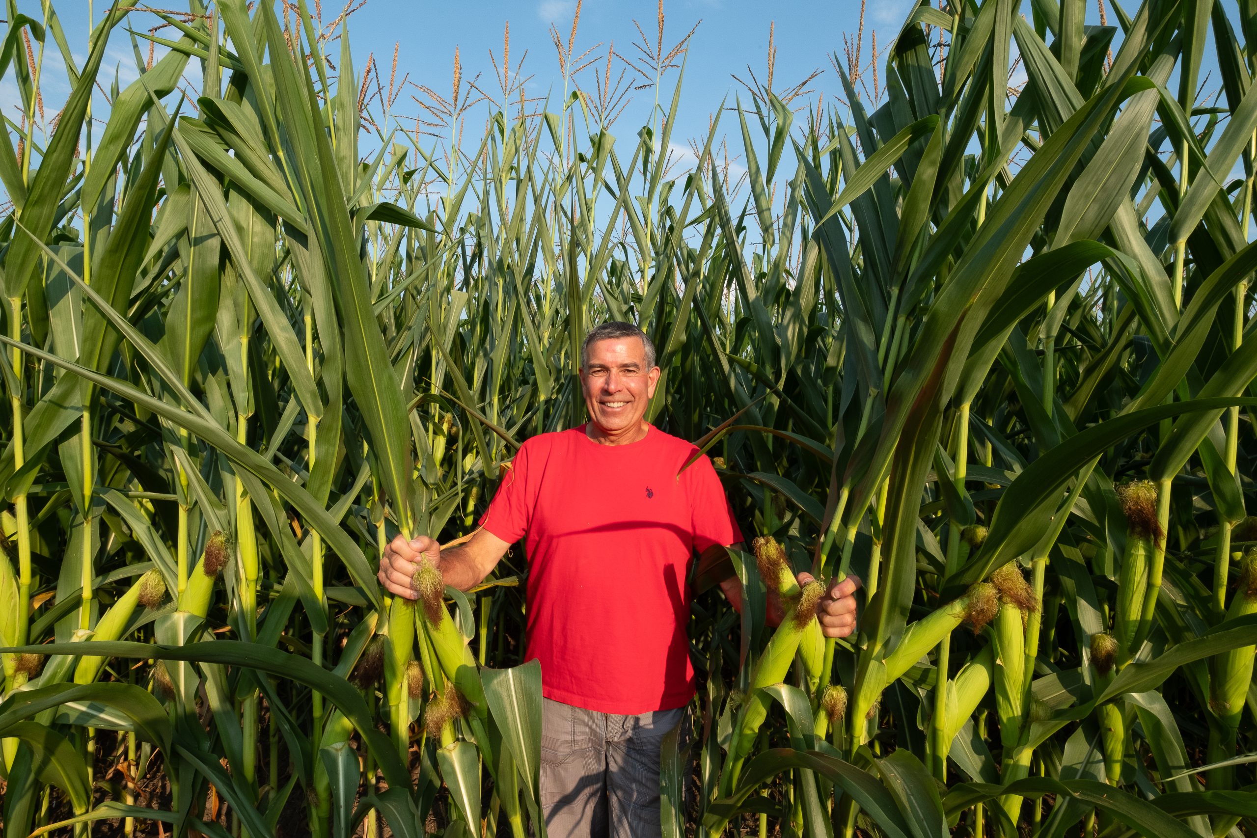 Selon Luc Bellefroid, les traits d’hybrides contre la sécheresse ne peuvent supplanter le semis direct pour préserver l’humidité et les réserves d’eau du sol.