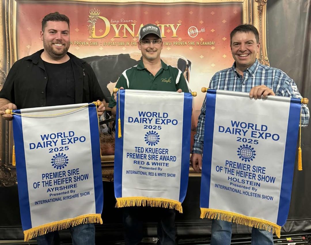 Les propriétaires de Blondin Sires, Nicolas Lalande, Dann Brady et Simon Lalande étaient fiers des trois bannières remportées lors du World Dairy Expo 2025.