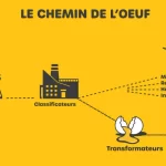 La Fédération des producteurs d'oeufs du Québec présente un site web dans lequel quatre vidéos présente le chemin de l'oeuf de la ferme au marché d'alimentation.