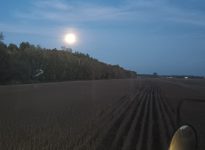 Gertrude qui récolte sous l’œil averti de la pleine lune des moissons.