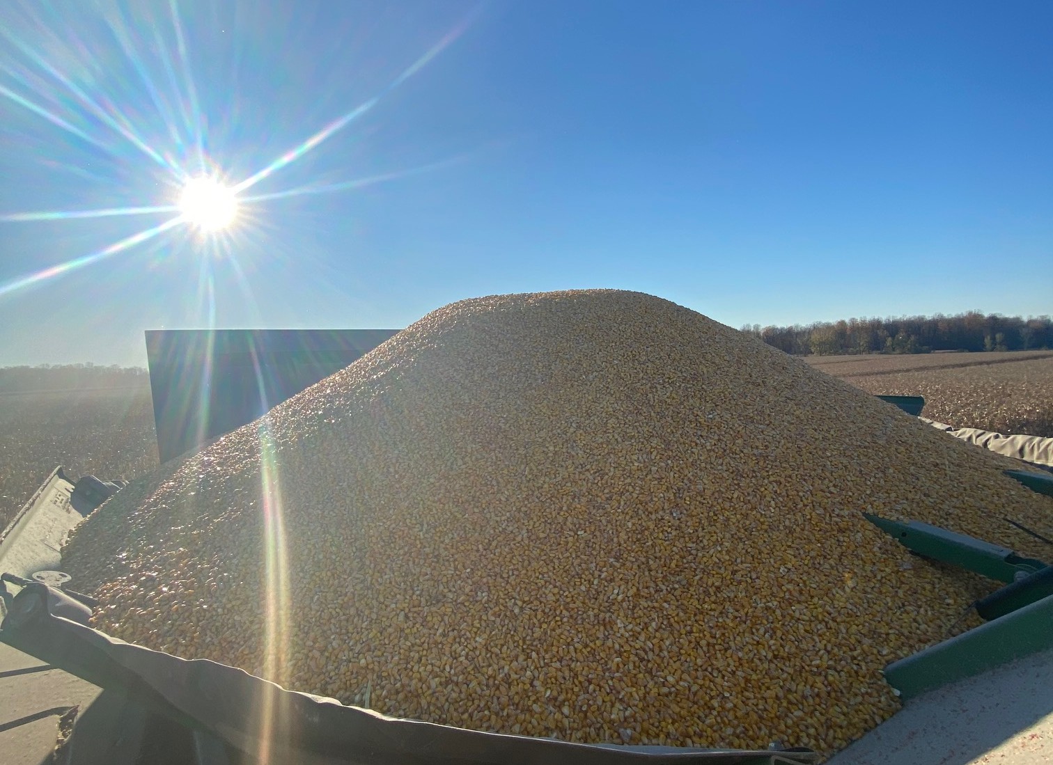 Marché des grains : L’Amérique du Sud mène le bal