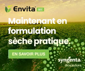 Envita: Maintenant en formulation sèche pratique!