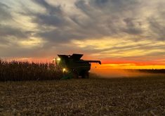 Photo de Michaël Saint-Pierre, Ferme Réjean St-Pierre et fils, Montérégie-Est