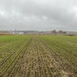 Photo par Renaud Péloquin, Ferme de Ste-Victoire, Montérégie-Est