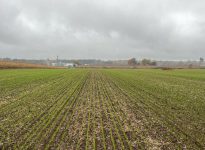 Photo par Renaud Péloquin, Ferme de Ste-Victoire, Montérégie-Est