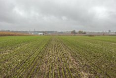 Photo par Renaud Péloquin, Ferme de Ste-Victoire, Montérégie-Est