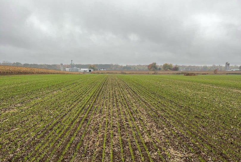 Photo par Renaud Péloquin, Ferme de Ste-Victoire, Montérégie-Est