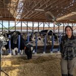 La chercheuse Kashfia Sailunaz enregistre les vocalisations des vaches à l'aide d'un microphone et d'un enregistreur pour comprendre leurs émotions.