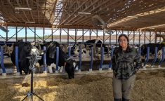 La chercheuse Kashfia Sailunaz enregistre les vocalisations des vaches à l'aide d'un microphone et d'un enregistreur pour comprendre leurs émotions.