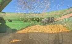 Photo par Sylvain Leroux, Ferme S.P. Leroux, Laurentides