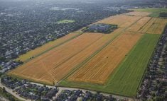 Le site de l'Agro-prc qui sera géré par le consortium dirigé par Agrinova.