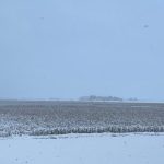 Photo par Billy Beaudry, Ferme Beau-Porc, Montérégie-Est