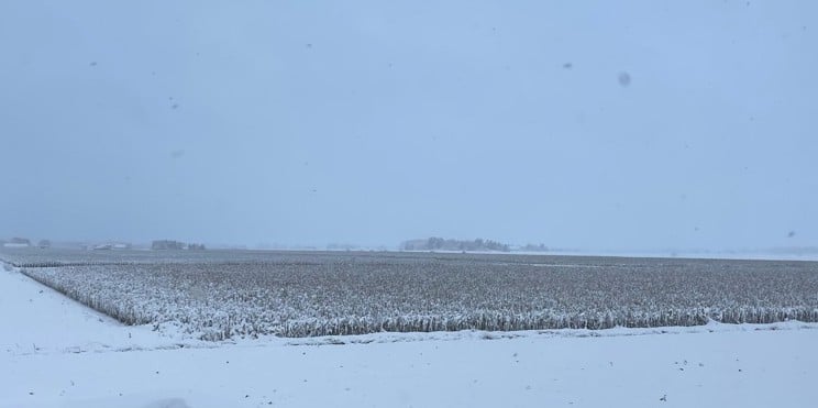 Photo par Billy Beaudry, Ferme Beau-Porc, Montérégie-Est