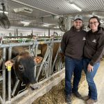 Simon Laflamme et Emmanuelle Vincent ont réalisé leur rêve de transformer leur étable en stabulation libre en remplaçant le troupeau Holstein par un troupeau Jersey.