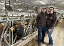 Simon Laflamme et Emmanuelle Vincent ont réalisé leur rêve de transformer leur étable en stabulation libre en remplaçant le troupeau Holstein par un troupeau Jersey.