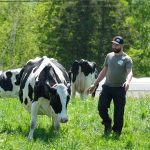 La Ferme Denijos a obtenu la première position des fermes laitières biologiques au pays pour l’année 2024 pour l’Indice de performance total (IPT) de Lactanet. 