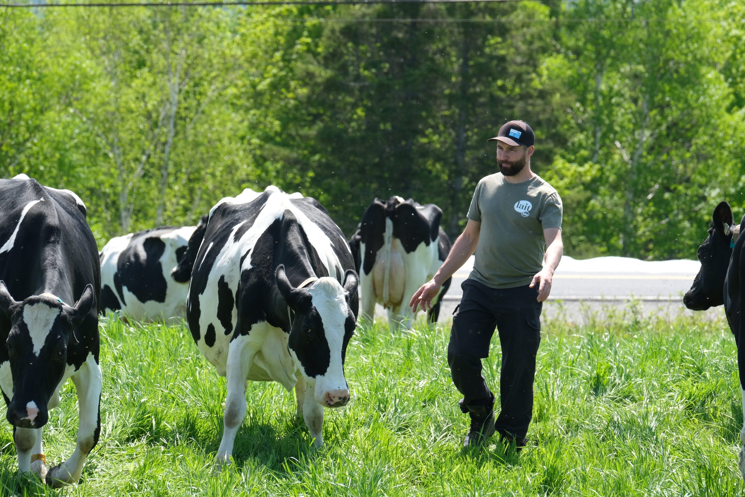La Ferme Denijos a obtenu la première position des fermes laitières biologiques au pays pour l’année 2024 pour l’Indice de performance total (IPT) de Lactanet. 