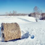 Un hiver qui débutera en force