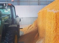 Les défis de la récolte de maïs 2025