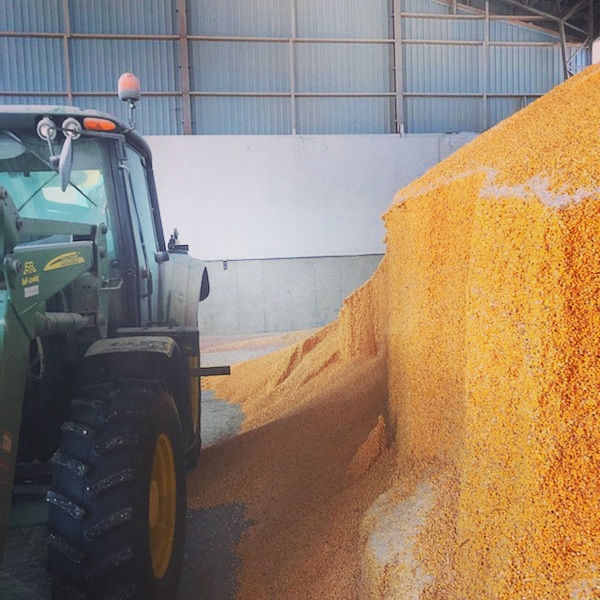 Marie Moisson de retour au grand défilé de la fête nationale