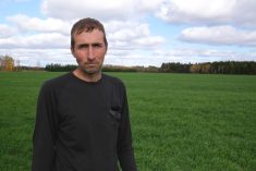 Fourrages sans labour : recette gagnante au Lac-Saint-Jean