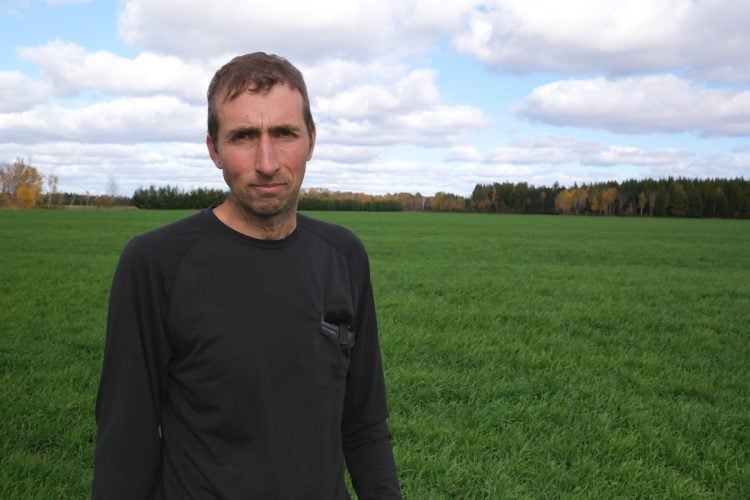 Fourrages sans labour : recette gagnante au Lac-Saint-Jean