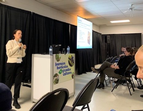 L’Abitibi-Témiscamingue souhaite produire plus de foin de commerce