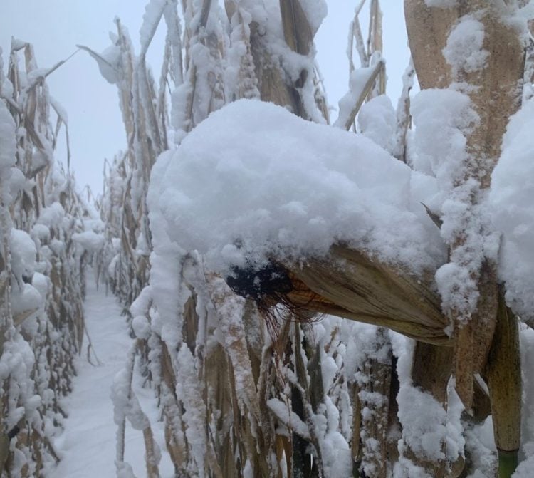 Photo: Maryse Proulx, Ferme Las Vacas, Centre-du-Québec