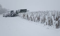 Mes épaules sont aussi lourdes que le champ de maïs. Ce n'est pas la première fois que ça nous arrive. On sait que le beau temps va revenir. En attendant, ça gruge nos énergies. Pendant que tous les travaux de nettoyage de fin de saison retardent.