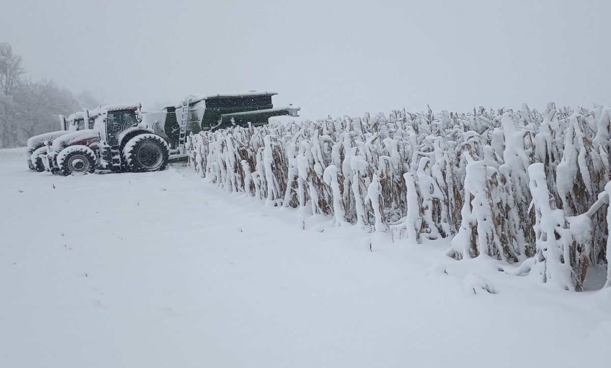 Mes épaules sont aussi lourdes que le champ de maïs. Ce n'est pas la première fois que ça nous arrive. On sait que le beau temps va revenir. En attendant, ça gruge nos énergies. Pendant que tous les travaux de nettoyage de fin de saison retardent.