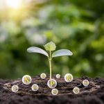 Bien qu'il passe parfois inaperçu, le manganèse est essentiel à la photosynthèse. Photo: Getty