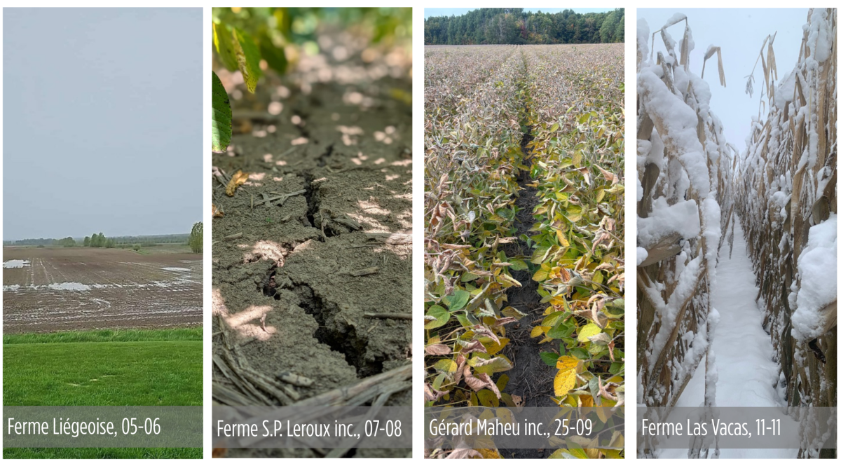 L’agriculture et le monde en zone inconnue