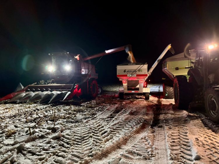 On a réussi à récolter les derniers hectares de maïs 2025