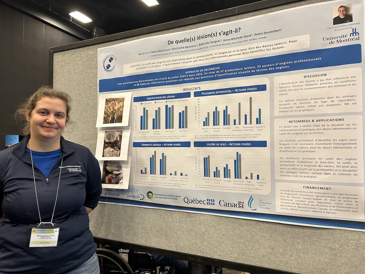 La professeurs Marianne Villetaz-Robichaud de la Faculté de médecine vétérinaire de l'Université de Montréal a présenté les résultats d'une étude sur la détections des lésions aux pattes des vaches dans le cadre du Symposium sur les bovins laitiers 2025 du CRAAQ.