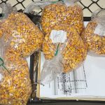 Résultats des parcelles de rendement relatif. De belles observations de récolte à analyser. Sortez ça de la cabine! J'aime ça quand ma demeure est propre!