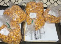 Résultats des parcelles de rendement relatif. De belles observations de récolte à analyser. Sortez ça de la cabine! J'aime ça quand ma demeure est propre!