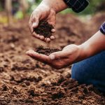 L’impact d’une mauvaise santé des sols  et le coût de l’inaction