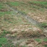 problème de drain dans un champ