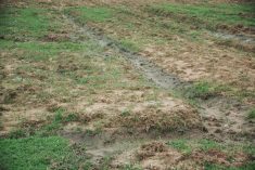 problème de drain dans un champ