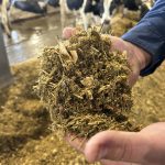 Le maïs-ensilage et l’ensilage de foin sont tous les deux de super aliments pour les vaches laitières, mais ils offrent chacun des avantages et des inconvénients.