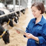 Les finissants en médecine vétérinaire ne seront pas suffisants pour combler la pénurie de médecins vétérinaires.