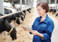 Les finissants en médecine vétérinaire ne seront pas suffisants pour combler la pénurie de médecins vétérinaires.