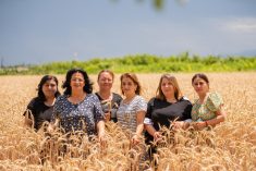 L'ONU a d&eacute;clar&eacute;2026 ann&eacute;e internationale des agricultrices