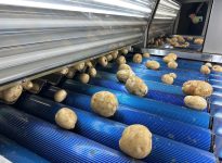 Quand l&rsquo;intelligence artificielle s&rsquo;invite en agriculture