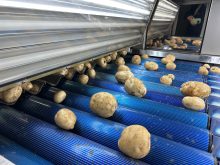 Quand l&rsquo;intelligence artificielle s&rsquo;invite en agriculture