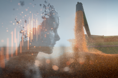 La r&eacute;volution de l&rsquo;IA dans le march&eacute; des grains?