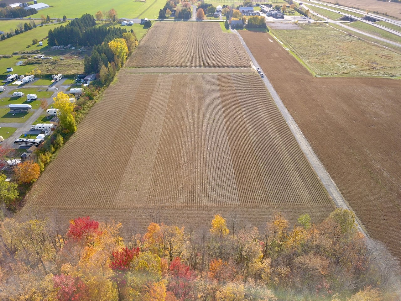 Parcelles d'essai de soya près de St-Liboire en Montérégie.